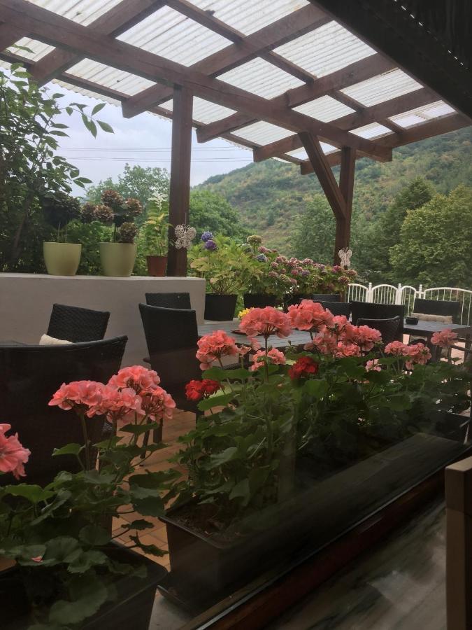 Moselina Ferienwohnungen 장크트 알데군트 외부 사진
