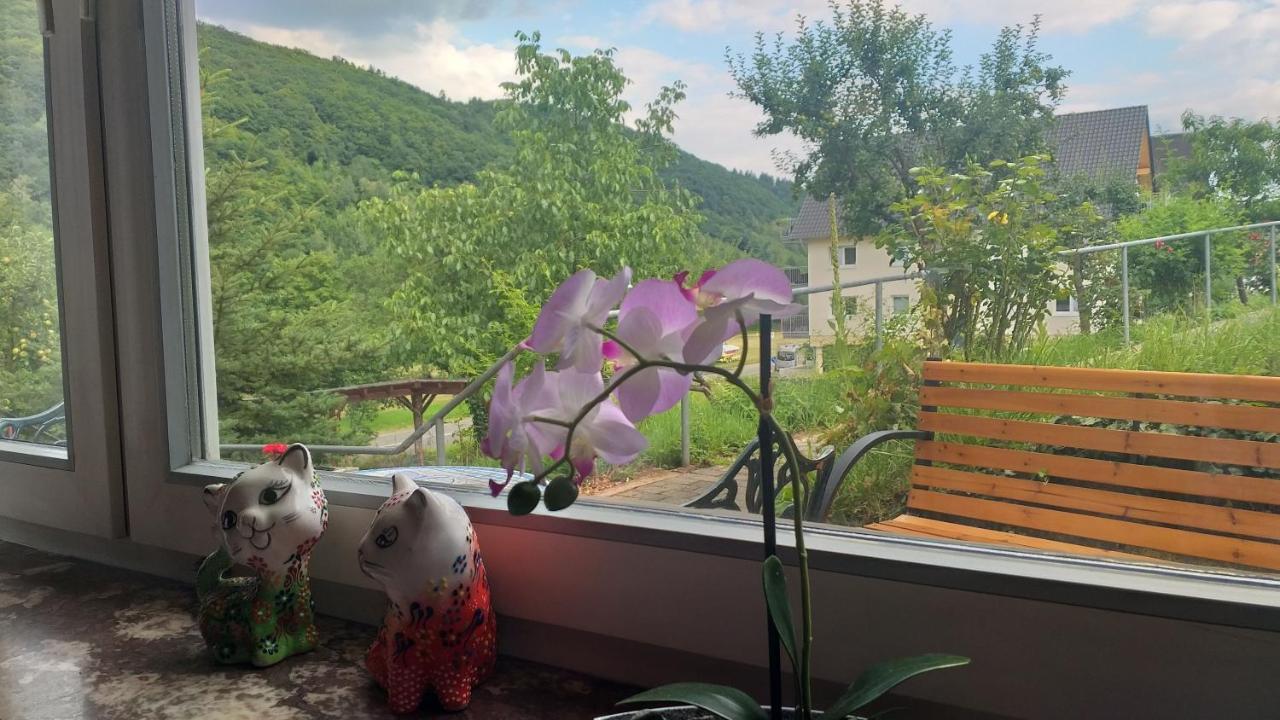 Moselina Ferienwohnungen 장크트 알데군트 외부 사진